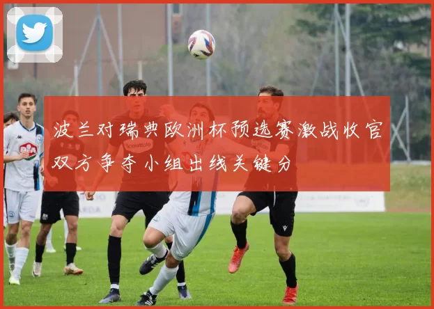 波兰对瑞典欧洲杯预选赛激战收官双方争夺小组出线关键分