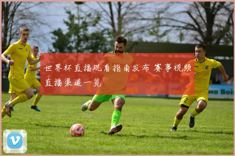 世界杯直播观看指南发布 赛事视频直播渠道一览